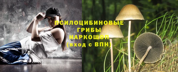 прущий лед Вязьма