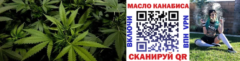 MEGA ссылки  купить наркоту  Железногорск-Илимский  Дистиллят ТГК вейп 